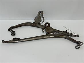 Lot 231