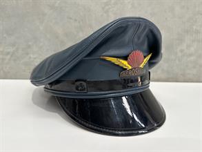 Lot 971